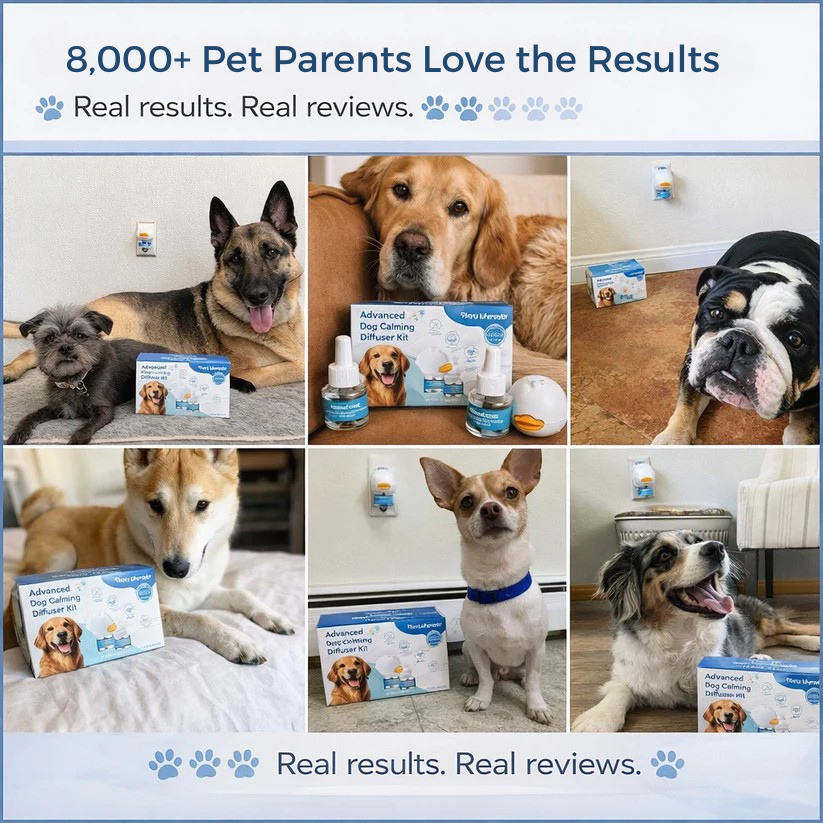 Calming diffuser for dogs, eliminates pee and anxiety